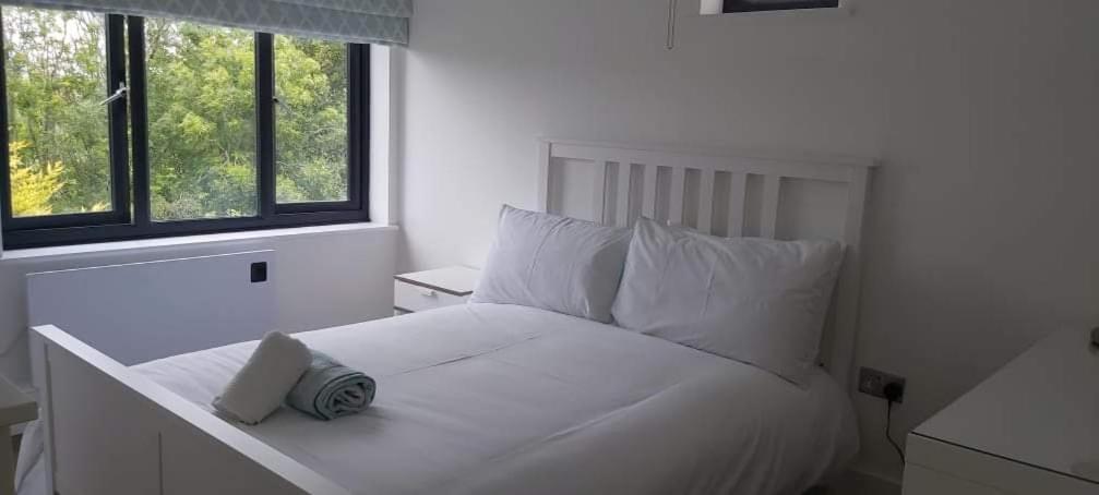 Newquay Rialton Holiday Home Ngoại thất bức ảnh